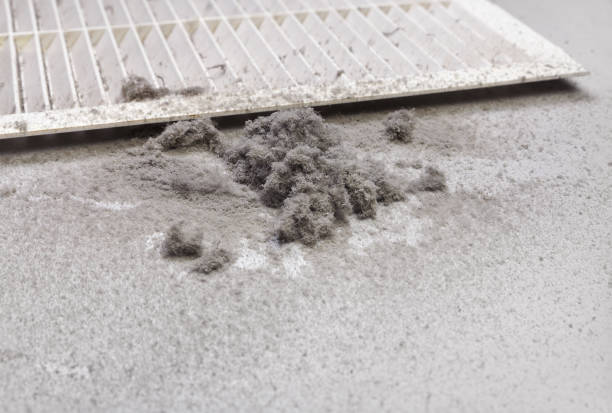 Best Emergency Air Duct Cleaning  in Hamlin, WV